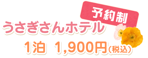 うさぎ専用ホテル 予約制 料金　1泊　\1,600(税込)